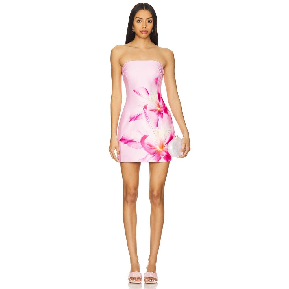 Runaway The Label Primrose Mini Dress in Pink Flower